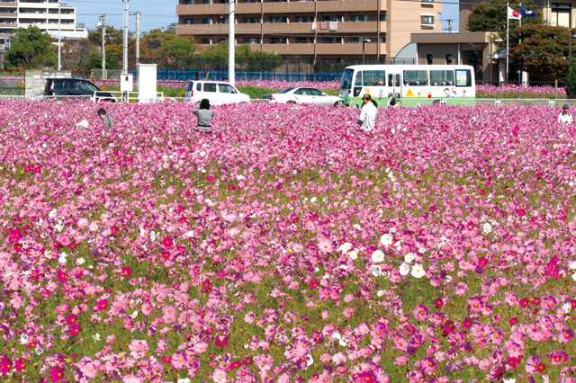 cosmos2015